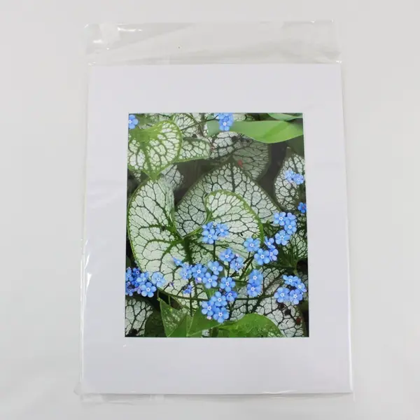 Lot of 3 Matted Blue Flower Art Photographs 11x14