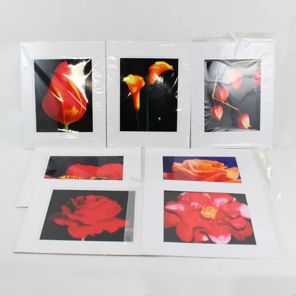 Lot of 7 Matted Red Orange Flower Art Photographs 11x14