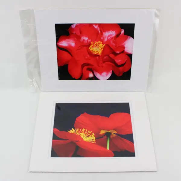 Lot of 7 Matted Red Orange Flower Art Photographs 11x14