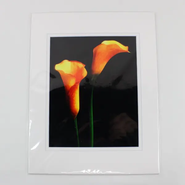 Lot of 7 Matted Red Orange Flower Art Photographs 11x14