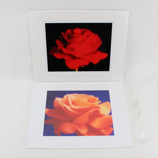 Lot of 7 Matted Red Orange Flower Art Photographs 11x14