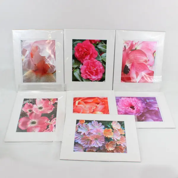 Lot of 7 Matted Pink Flower Art Photographs 11x14