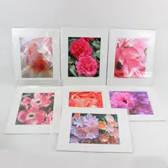 Lot of 7 Matted Pink Flower Art Photographs 11x14