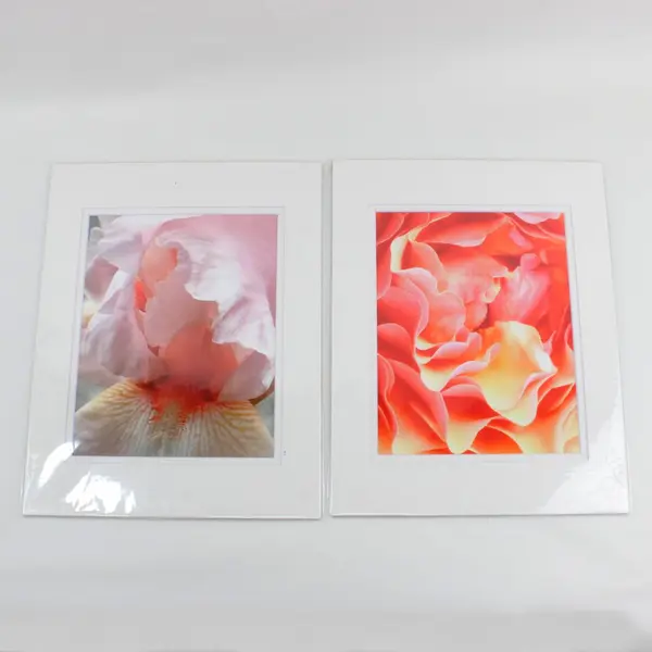 Lot of 7 Matted Pink Flower Art Photographs 11x14