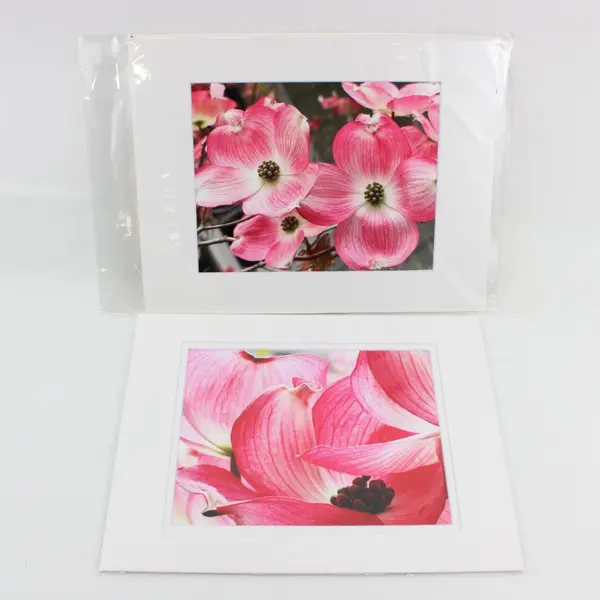 Lot of 7 Matted Pink Flower Art Photographs 11x14
