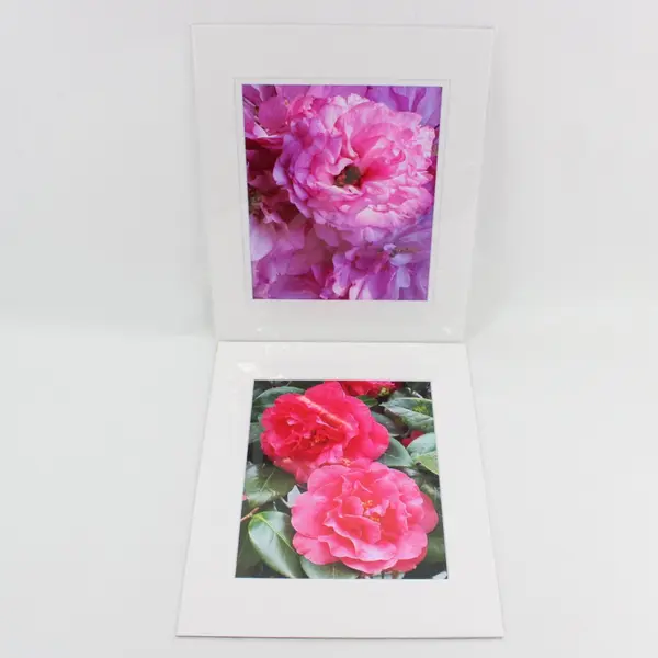 Lot of 7 Matted Pink Flower Art Photographs 11x14