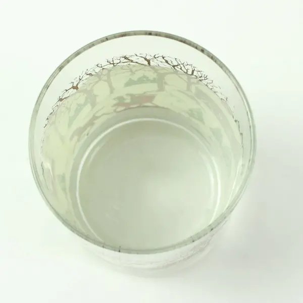 Libbey Winter Village Double Old Fashioned Drinking Glass Tumbler