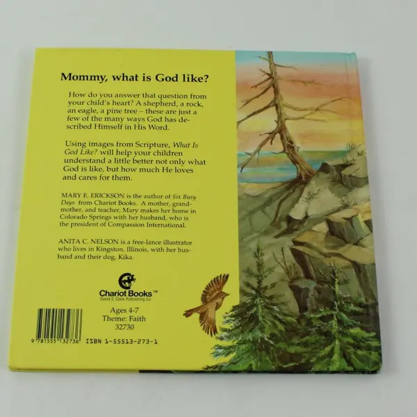 What Is God Like? Mary E Erickson Children's Religious 1990 1st Edition HC Book