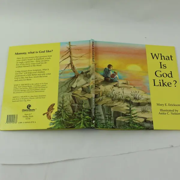 What Is God Like? Mary E Erickson Children's Religious 1990 1st Edition HC Book