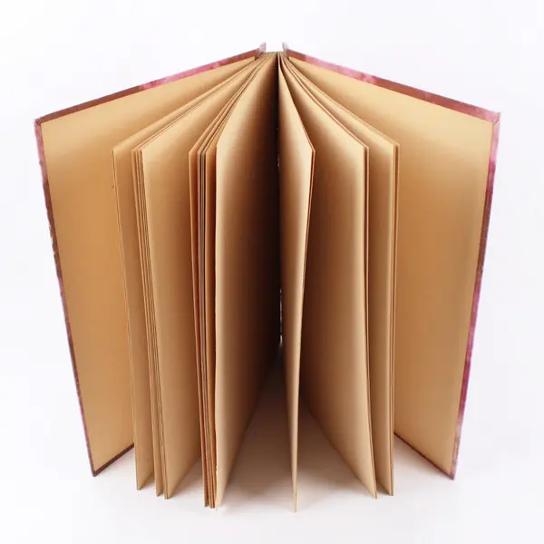 Pink Clippings Scrapbook Album Photo Memory Book Two-Post Binding