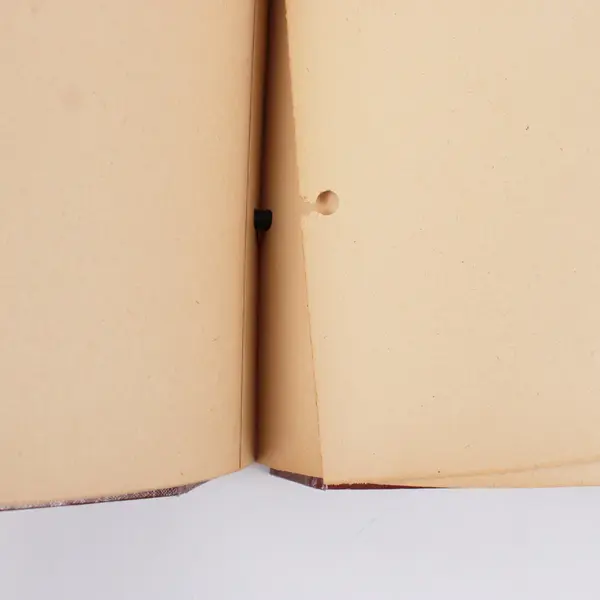 Pink Clippings Scrapbook Album Photo Memory Book Two-Post Binding
