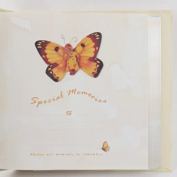 Anne Geddes Butterfly Baby Photo Album Holds 200 4x6 Photos