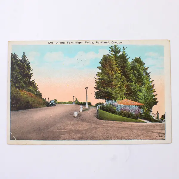 Along Terwilliger Drive Portland Oregon Color Litho Postcard 1924
