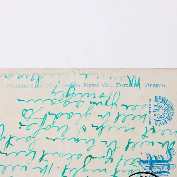 Along Terwilliger Drive Portland Oregon Color Litho Postcard 1924