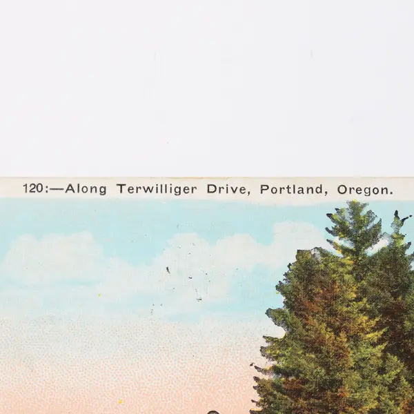 Along Terwilliger Drive Portland Oregon Color Litho Postcard 1924