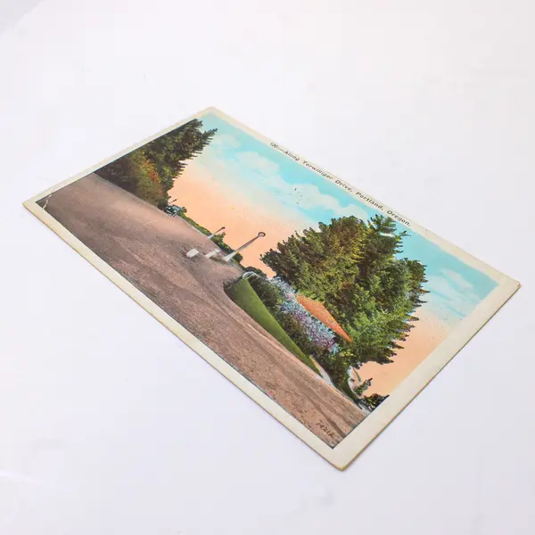 Along Terwilliger Drive Portland Oregon Color Litho Postcard 1924