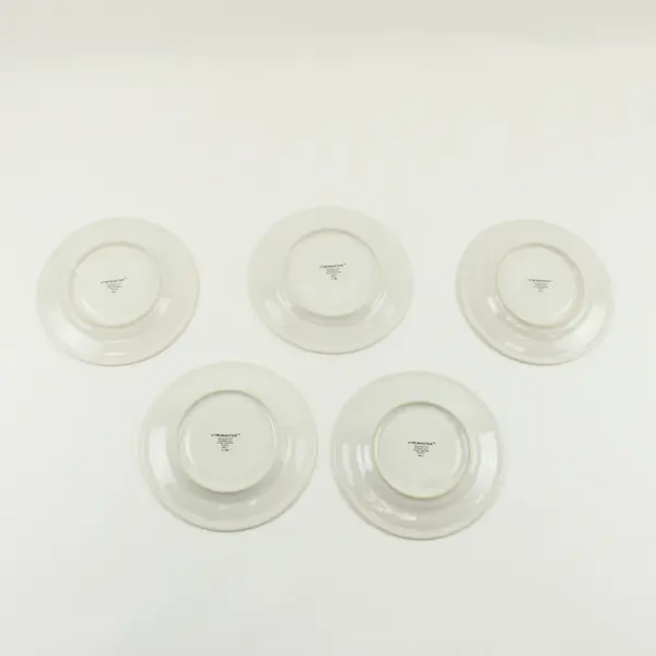 Vitromaster Floral Saucers Set of 5 Pink Multicolor 6 Inch