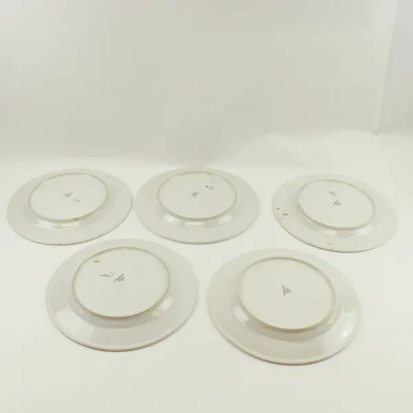 Vitromaster Bali Set of 5 Floral Stoneware Dinner Plates 10.75 Inch