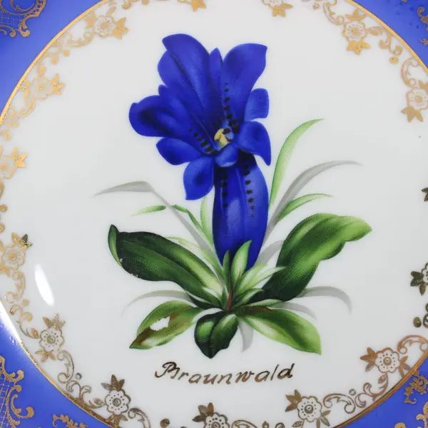 Eschenbach Braunwald Crocus Floral Plate Hand Painted Bavaria