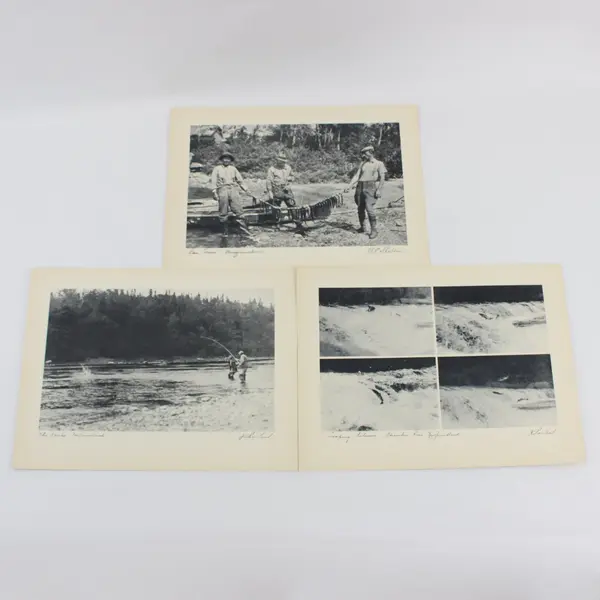 Lot of 3 Vintage 1930s Newfoundland Fishing Photographic Prints 9X12