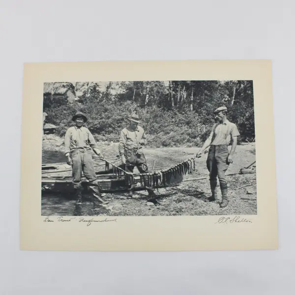 Lot of 3 Vintage 1930s Newfoundland Fishing Photographic Prints 9X12