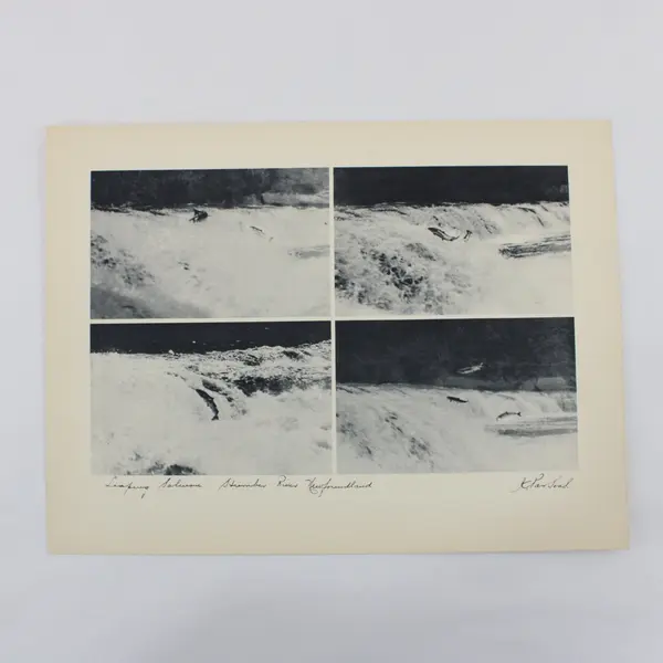 Lot of 3 Vintage 1930s Newfoundland Fishing Photographic Prints 9X12