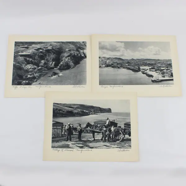Set of 3 VTG 1930s A.C. Shelton Newfoundland 9 x 12 Scenic Photo Prints