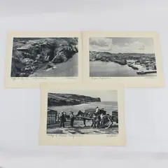Set of 3 VTG 1930s A.C. Shelton Newfoundland 9 x 12 Scenic Photo Prints