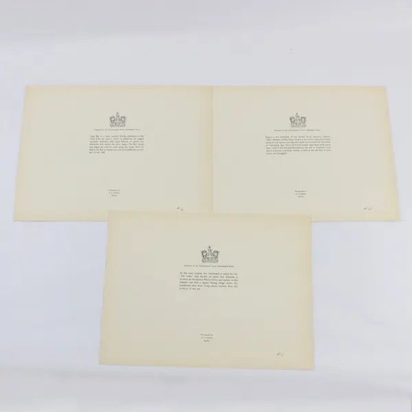Set of 3 VTG 1930s A.C. Shelton Newfoundland 9 x 12 Scenic Photo Prints