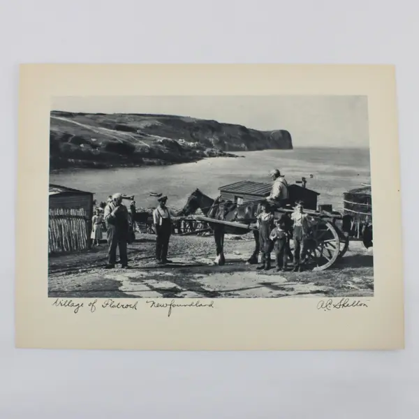 Set of 3 VTG 1930s A.C. Shelton Newfoundland 9 x 12 Scenic Photo Prints