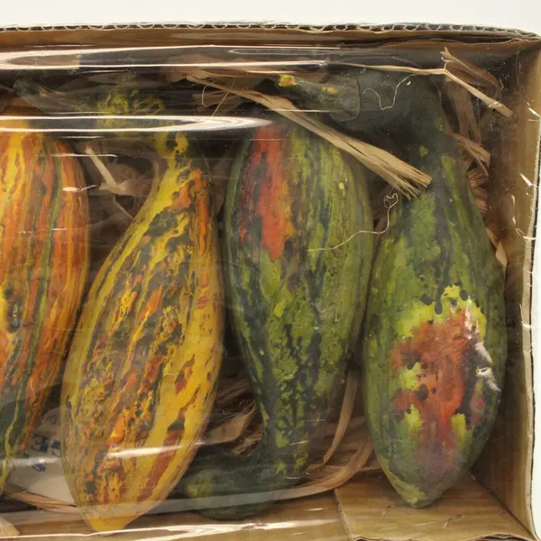 Natural Decorations Inc Set of 6 Decorative Faux Gourds