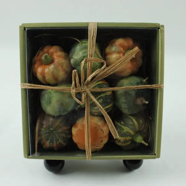 Crate & Barrel Set of 9 Pumpkin Squash Candles Gift Box