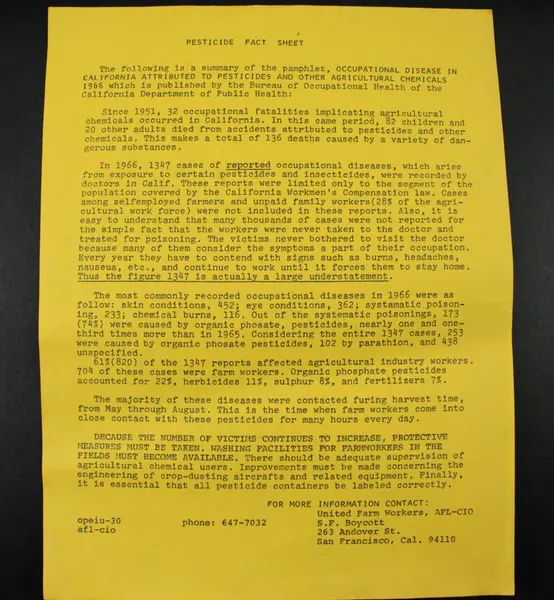 Vintage United Farm Workers Pesticide Fact Sheet Flyer SF Boycott California 