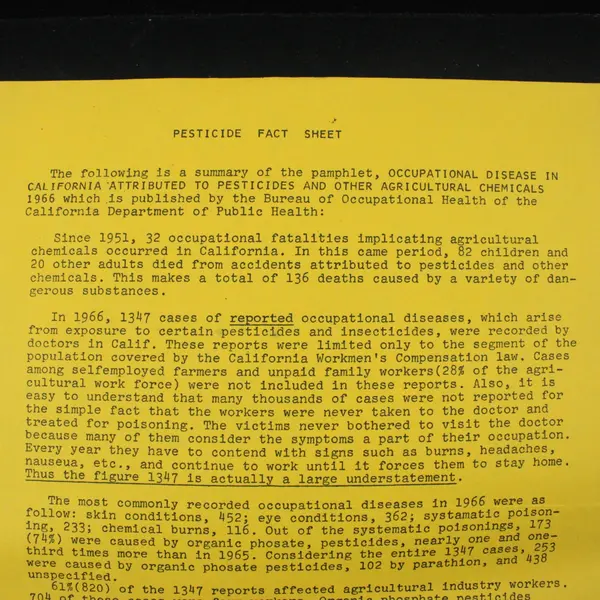 Vintage United Farm Workers Pesticide Fact Sheet Flyer SF Boycott California 
