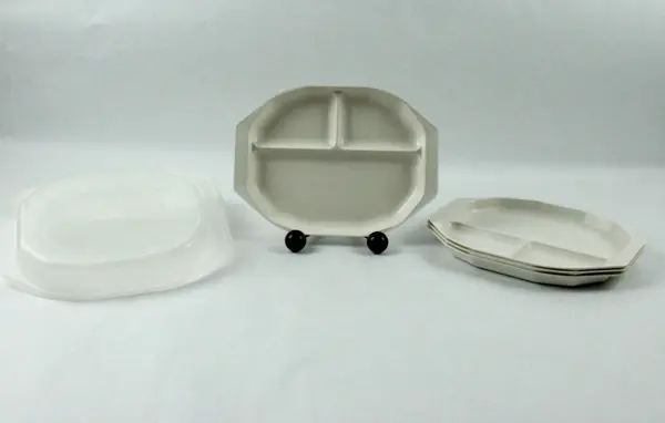 Anchor Hocking PL-1095-HH Plastic Divided Plates Set of 4 with Lids