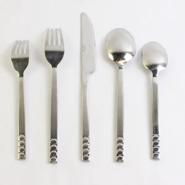 5 Piece Place Setting Pier 1 Imports Portfolio 18/8 Stainless Steel Circles