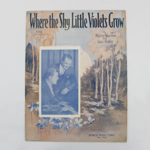 1928 Remick Where The Shy Little Violets Grow Sheet Music Harry Warren Gus Kahn
