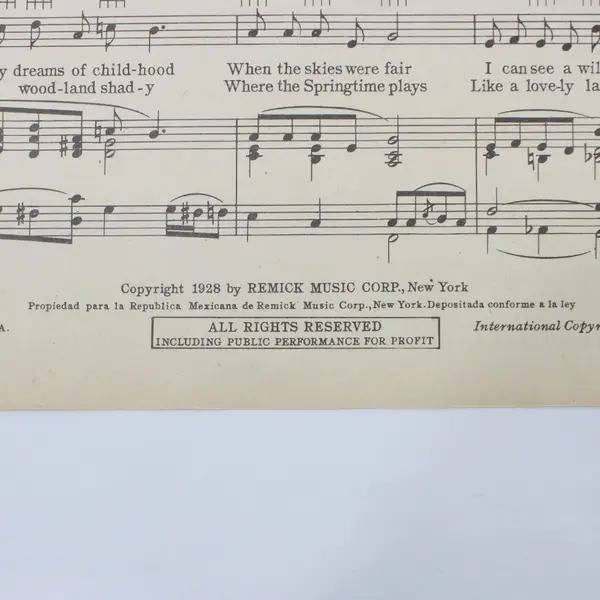 1928 Remick Where The Shy Little Violets Grow Sheet Music Harry Warren Gus Kahn