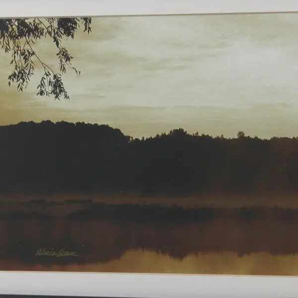 Alicia Soave Signed Early Morning Sunrise Framed Art Print 374/950 27x19