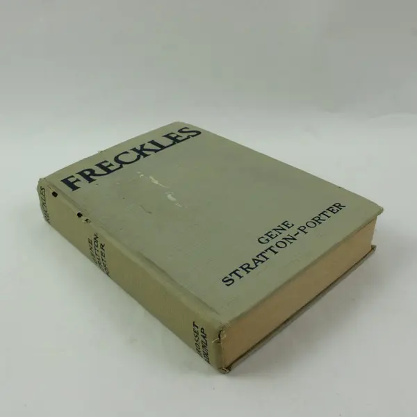 1916 Freckles Gene Stratton-Porter Hardcover Novel Book