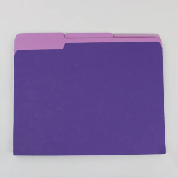 Lot of 19 Purple Letter-Size File Folders Office Document Storage