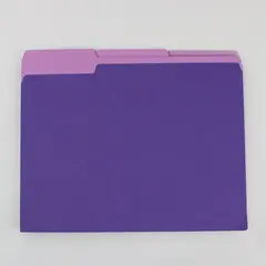 Lot of 19 Purple Letter-Size File Folders Office Document Storage