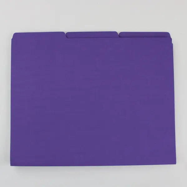 Lot of 19 Purple Letter-Size File Folders Office Document Storage
