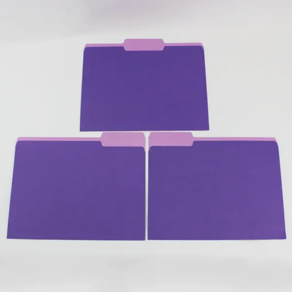 Lot of 19 Purple Letter-Size File Folders Office Document Storage