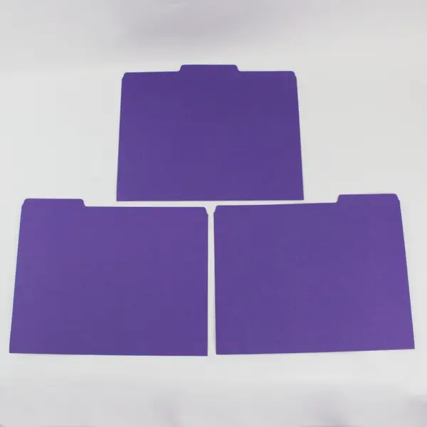 Lot of 19 Purple Letter-Size File Folders Office Document Storage