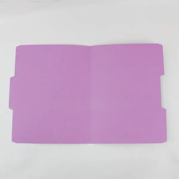 Lot of 19 Purple Letter-Size File Folders Office Document Storage