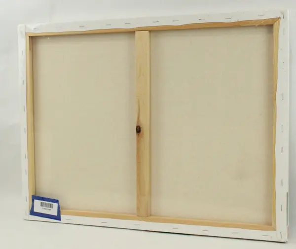 Daler-Rowney Simply Stretched Canvas 18x24 2 Pack