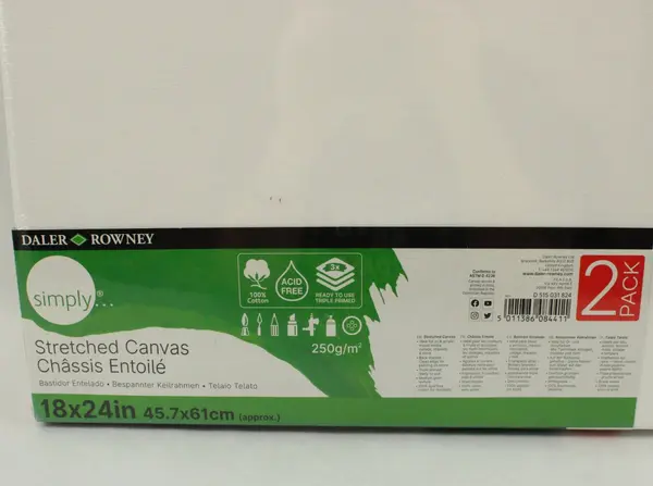 Daler-Rowney Simply Stretched Canvas 18x24 2 Pack