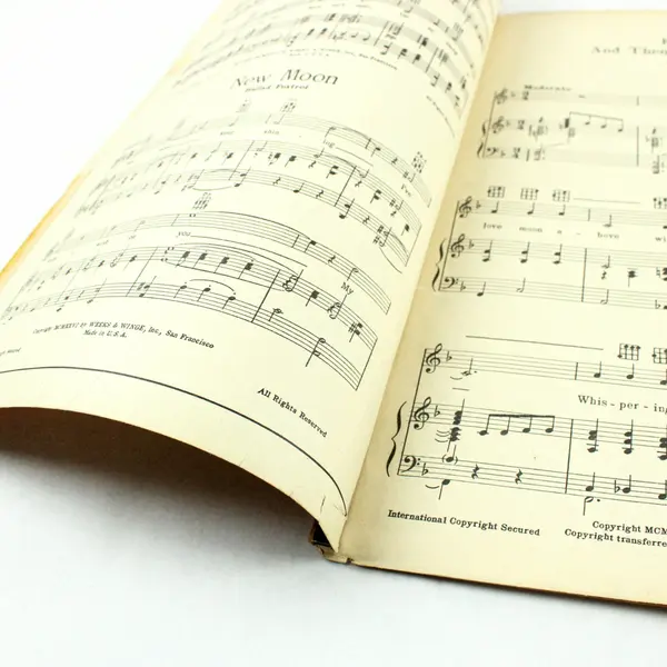 Kiss Me and Then Say Goodnight Vintage Sheet Music Gene Johnston Herb Wiedoft