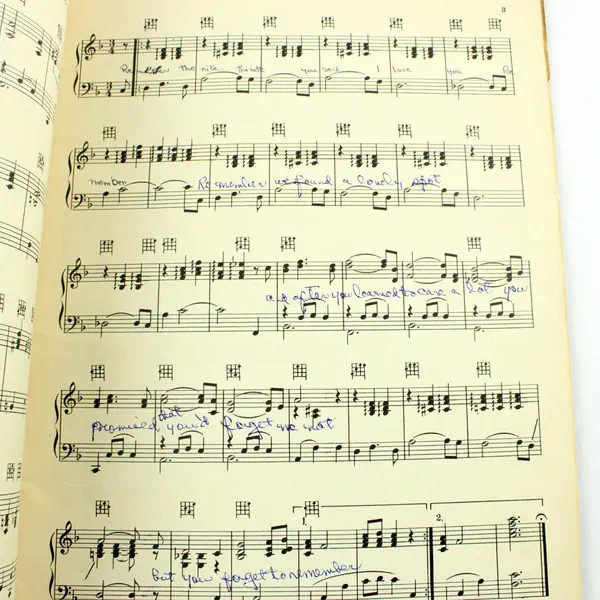 1925 Irving Berlin Universal Dance Folio No 11 Piano Ukulele 31 Songs